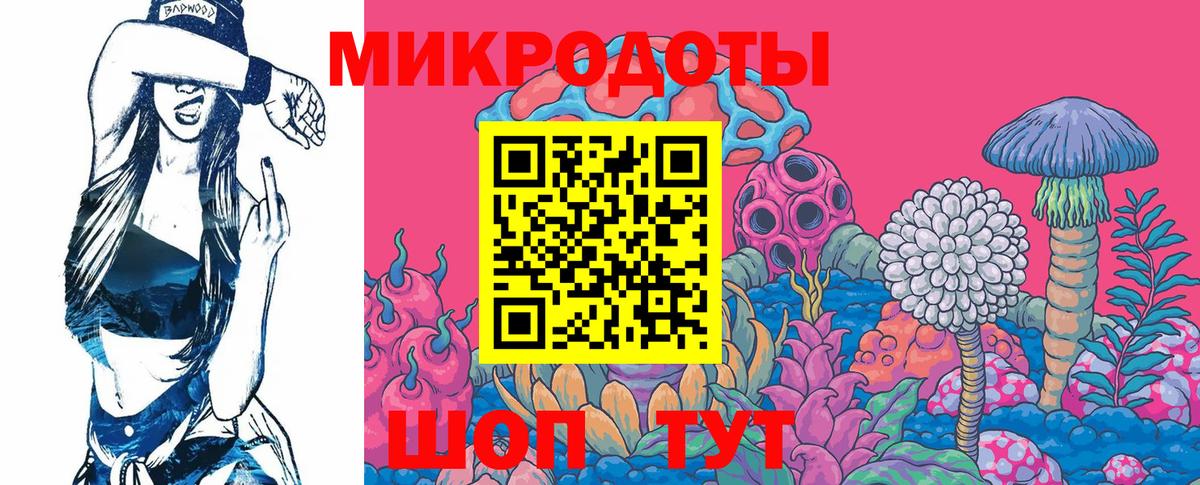 Псилоцибиновые грибы Psilocybine cubensis Кулебаки